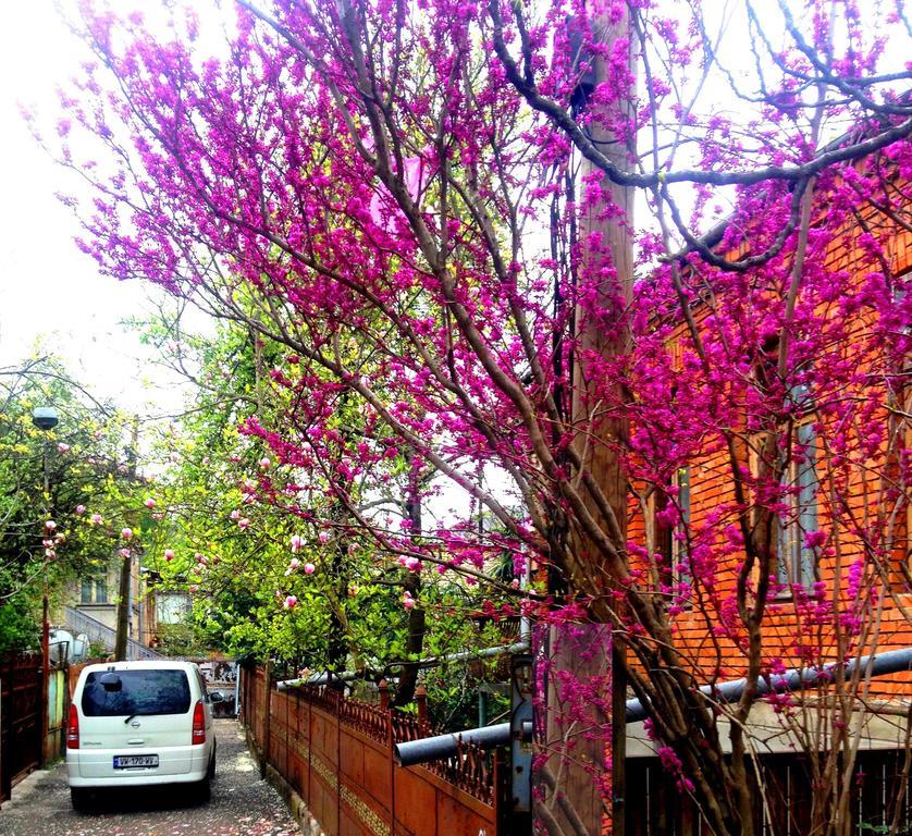 קוטאיסי Colibri Home מראה חיצוני תמונה